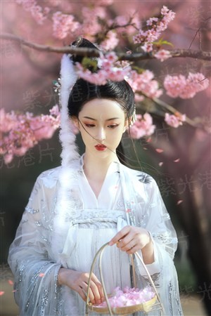 天龙妖僧传